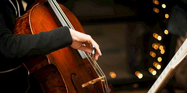 Violoncello
