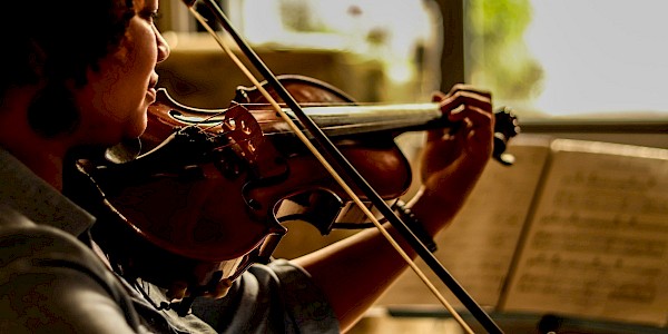 Violino