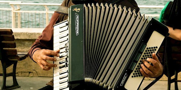 Fisarmonica